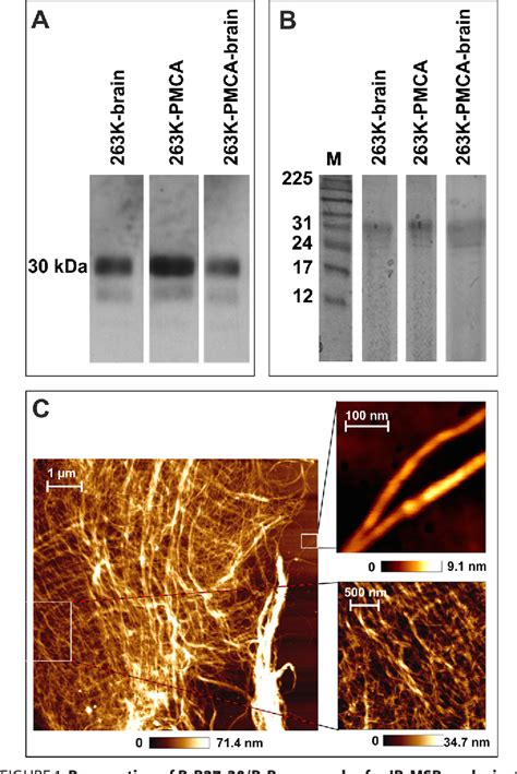 Figure From Infrared Microspectroscopy Detects Protein Misfolding