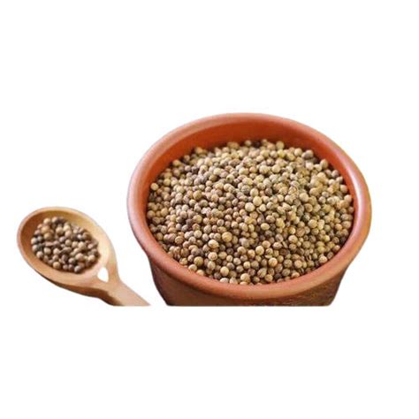 Organic Coriander Seed At Best Price In Unjha Gujarat Kitchen Spices