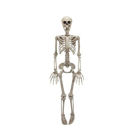 Halloween Skeleton Decoration 35 Poseable Full Life Size Human