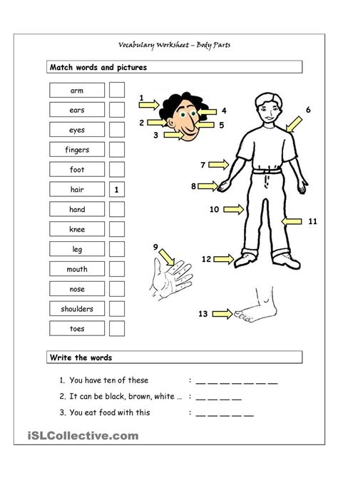 Worksheet Part Asl Answers