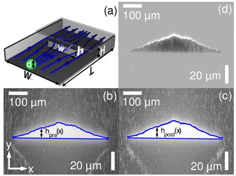 Overview Of Deformation Experiment A Schematic Microchip Geometry W