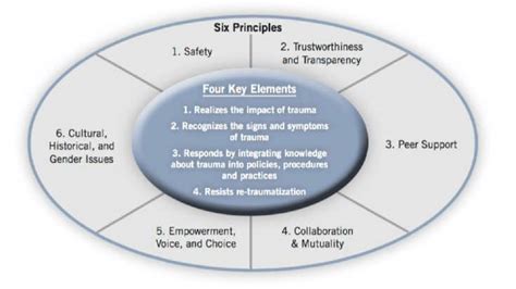 SAMHSA Trauma Informed Care Principles