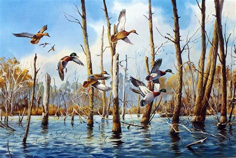 James Killen Flooded Timber Mallards | WildlifePrints.com