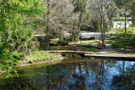 Ravine Gardens State Park In Palatka Fl Americas State Parks