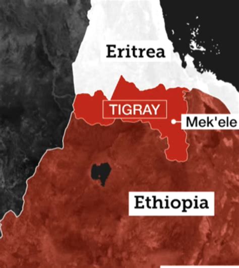 Ethiopian Civil War: Relief and plaudits as AU begins Monitoring ...