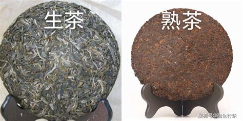 怎么区别普洱生茶和熟茶 搜狐大视野 搜狐新闻