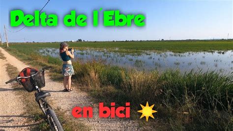 Paseo En Bicicleta Por El Delta Del Ebro Laguna La Encanyissada