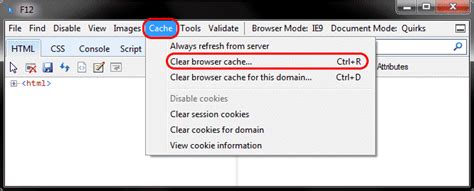 delete cookies clear  cache  wipe  history