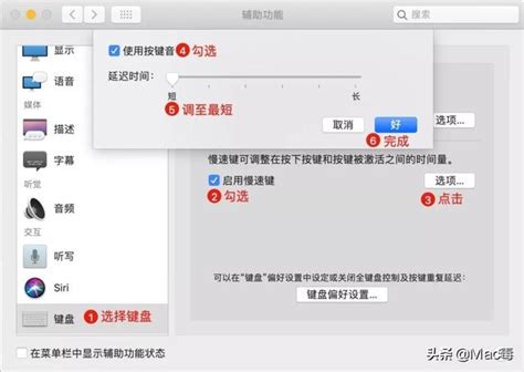 Mac小技巧 設置mac打字音效 每日頭條