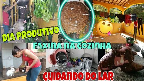 Dia Produtivo Faxina Na Cozinha Colhemos Mandioca No Quintal Fiz