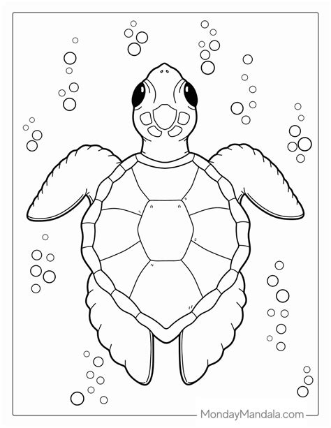 free printable coloring pages of turtles 7