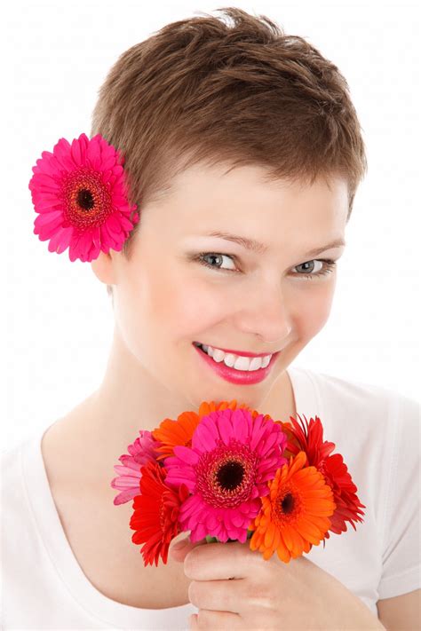 Free Images Gerbera Bouquet Cut Flowers Pink Flowering Plant