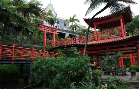 A Complete Guide To Monte Palace Tropical Gardens Madeira