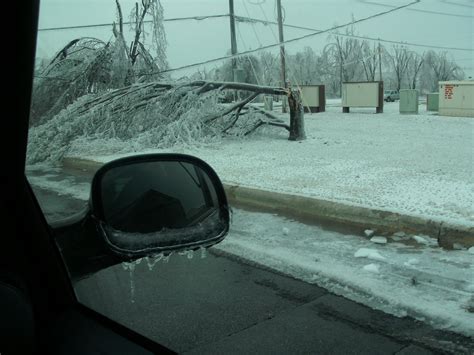 2009 ice storm in Springdale Arkansas | Springdale arkansas, Springdale
