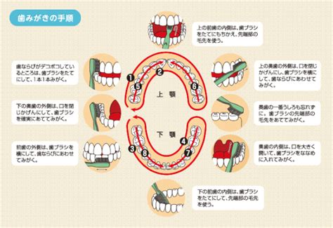 正しい歯磨きの仕方 お口のことならハミガキネット