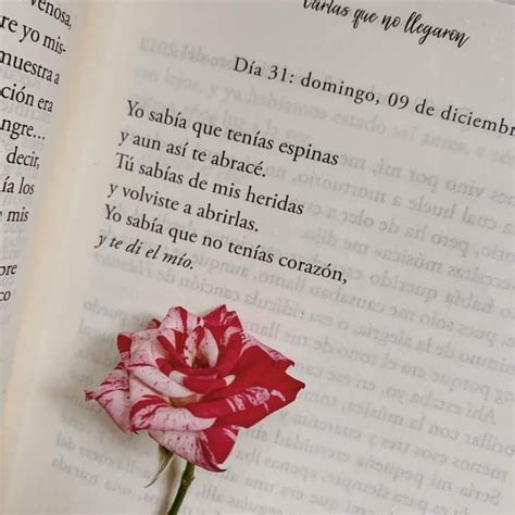 Pin De L A En Frases Y Poemas Frases Curativas Frases Bonitas E