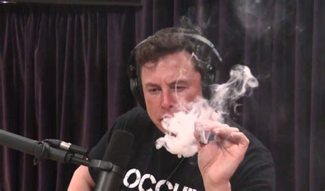 'The Joe Rogan Experience' Subscriber Count Soars After Lit Musk ...