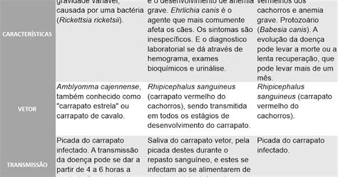 Doencas Transmitidas Por Carrapatos - Ramificando Ideias e Realidade: Doenças transmitidas por carrapatos!