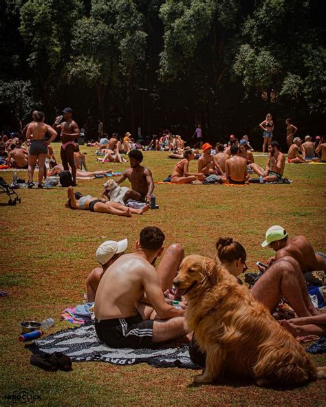 Pin de Alessandra Pereira em landscape Instagram Semiótica Parque