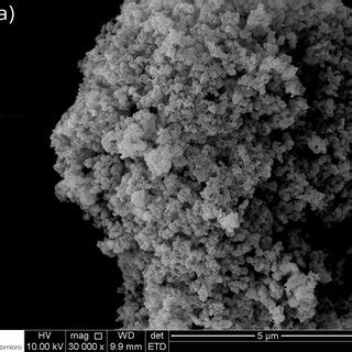 Sem Photomicrographs Of Synthesized Has Clay A And B