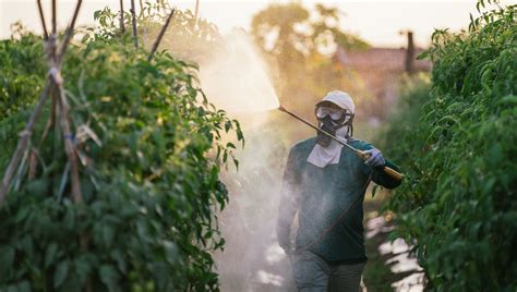 Et si on arrêtait vraiment les pesticides