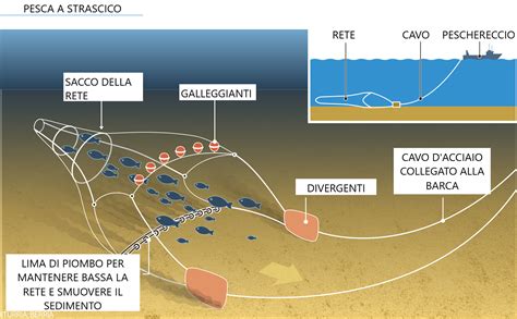 Pesca Con Reti A Strascico