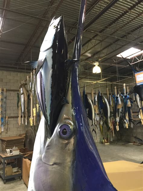 Custom Swordfish Mount With Jumping Skipjack Tunas Mounted Fish