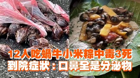 12人吃蝸牛小米粽中毒3死 到院症狀：口鼻全是分泌物 Youtube