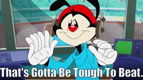 Animaniacs Wakko Warner Animaniacs Wakko Warner Thats Gotta Be