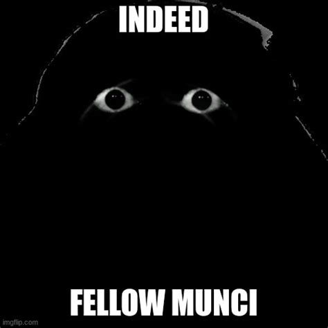 munci memes gifs imgflip