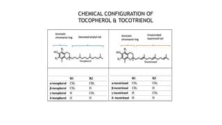 Vitamin E Slide Show Presentation Tocotrienol PPT