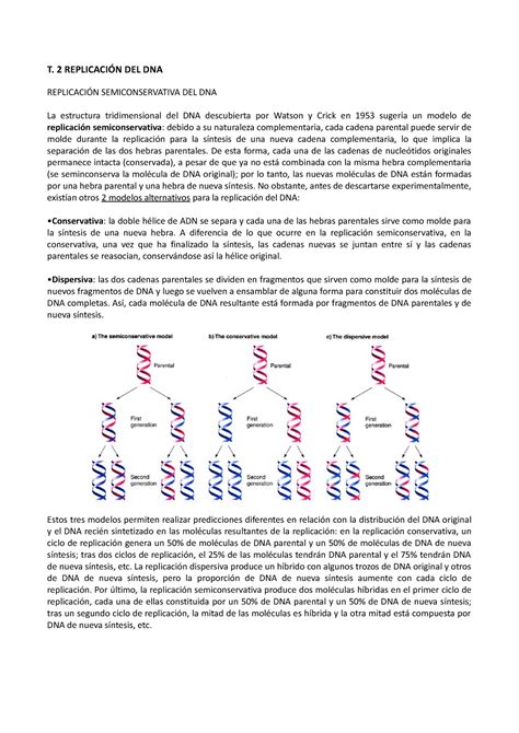 Tema 2 Resumen Xenética molecular T 2 REPLICACIÓN DEL DNA