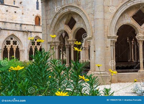 Gothic Arches And Pillars In Bayonne Cathedral Editorial Photo