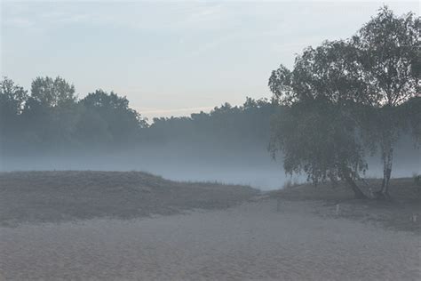 Binnendüne Naturfotografie Axel Horn