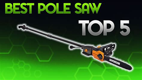 Best Pole Saws In Pole Saw Reviews Buying Guide Youtube