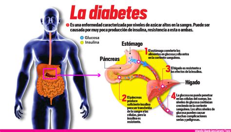 La Biodescodificación De La Diabetes Psicodescodificación