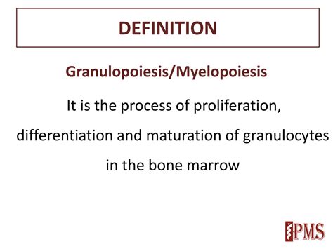 SOLUTION: Lecture 8 granulopoiesis and its regulation - Studypool