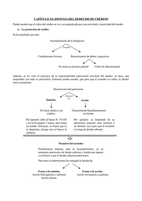 Capítulo 11 Defensa Del Derecho De Crédito CapÍtulo Xi Defensa Del Derecho De CrÉdito Puede