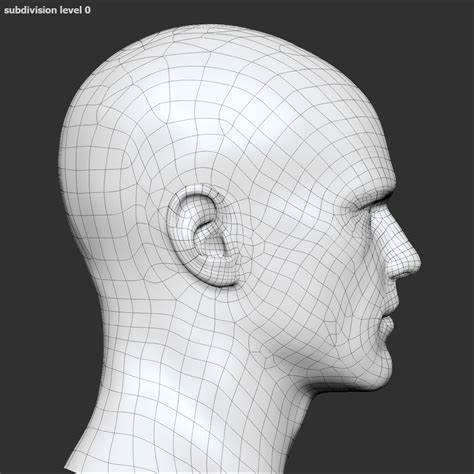 Realistic Male Head 3d Max