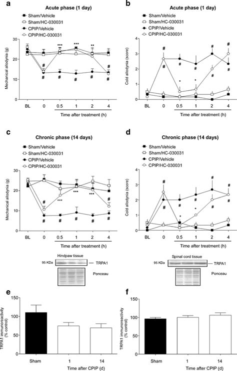 Transient Receptor Potential Ankyrin 1 TRPA1 Channel Antagonism