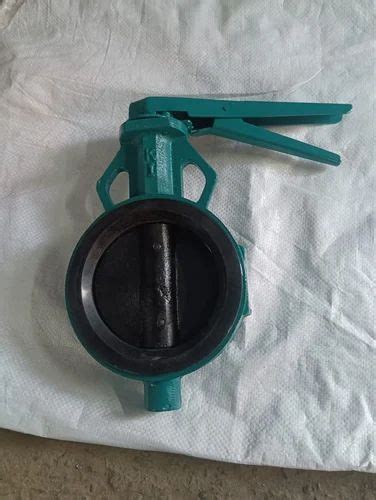 Wafer Type Ci Butterfly Valve At Rs Ball Valve In Ahmedabad Id