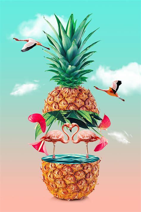 Flamingos On Behance