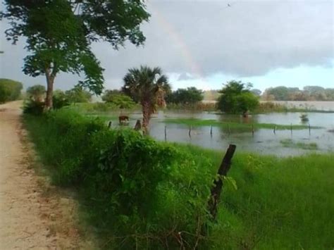 En Jonuta reportan perdidas de cultivos por inundación