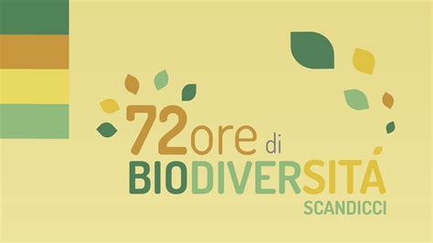 Vivi E Impara Nelle Fattorie Biologiche Wwoof Italia