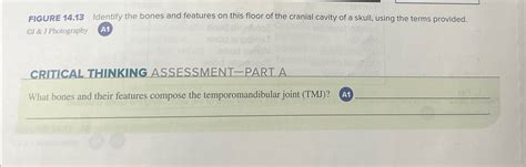 Solved FIGURE 14 13 Identify The Bones And Features On This Chegg
