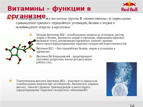 1 Продукт 2 Состав Ред Булл НЕ