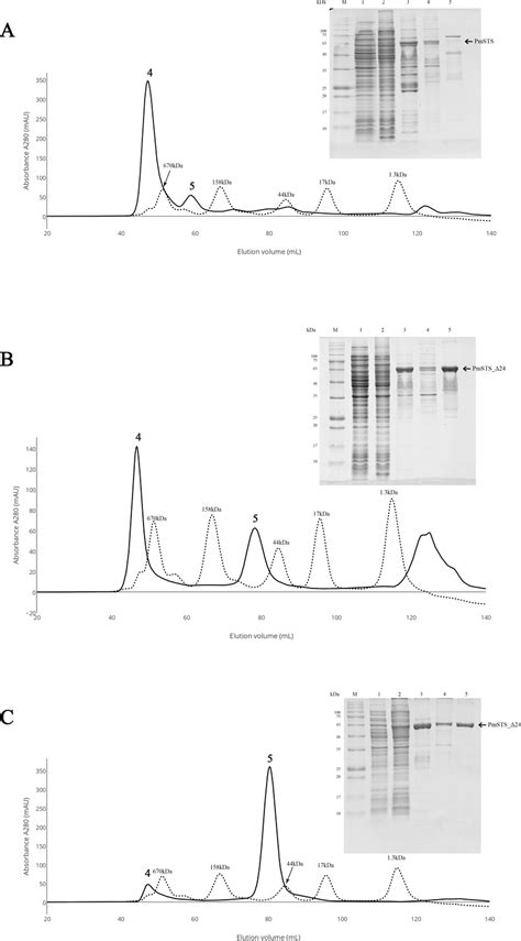 Size Exclusion Chromatography Sec And Sds Page Profile Of Pmsts A