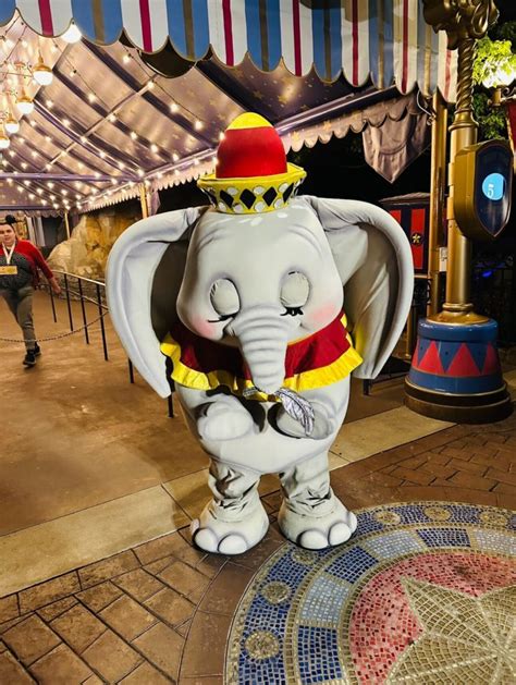 We Met Dumbo At The Disneyland After Hours Throwback Nite Mickeyblog