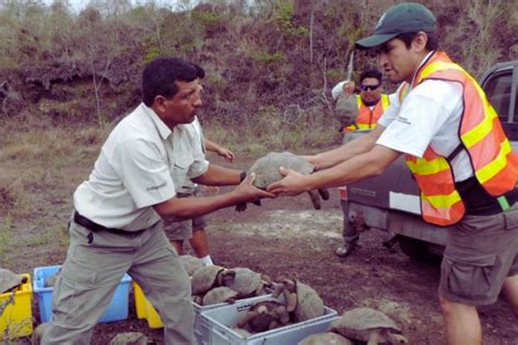 Wwf Ecuador Expresa Preocupación Por La Inseguridad Dentro De áreas