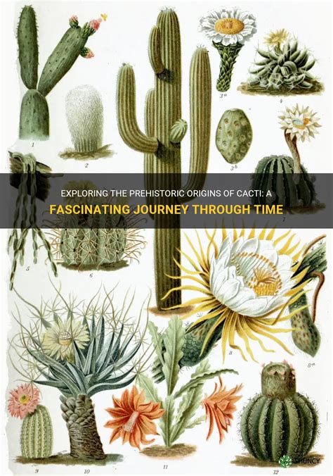 Exploring The Prehistoric Origins Of Cacti A Fascinating Journey